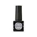 pa(ピーエー) ファストジェル pag-45 (5mL)