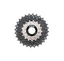 GtGXG[(Fsa) ] XvPbg K-FORCE WE cassette 11-32T 407-0003000360