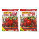 花ごころ(Hanagokoro) 甘いイチゴをつくる土 5L×2袋