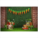バック紙 背景紙 Easter イースター Egg エッグ イベント パーティー スタジオ 写真撮影 壁紙 装飾 デコレーション うさぎ バニー グラス 花 木製 とびら 春 (21710-21907) Style-11 ビニール150x100cm