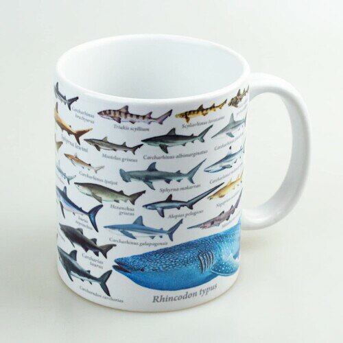 ザ・アクセス マグカップ サメ 大全マグカップ 水族館 サイズ(約):径83×H97mm(+取っ手) 生産国:中国 素材・材質:陶器 商品コード20081646528商品名ザ・アクセス マグカップ サメ 大全マグカップ 水族館サイズ径83&times;H97mm（+取っ手）カラーサメ※他モールでも併売しているため、タイミングによって在庫切れの可能性がございます。その際は、別途ご連絡させていただきます。※他モールでも併売しているため、タイミングによって在庫切れの可能性がございます。その際は、別途ご連絡させていただきます。