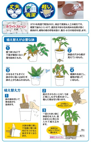 �֤����� ���줤��ȭ���� ������ 5L��2��