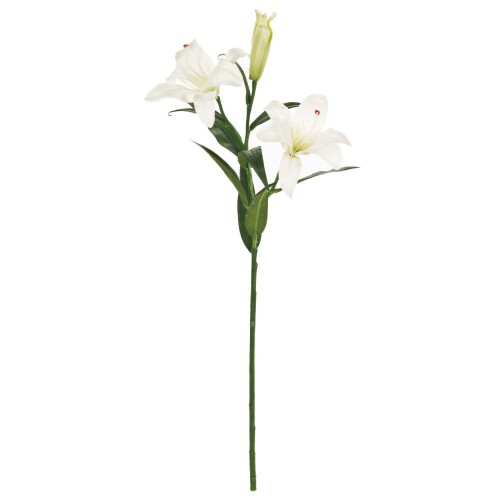東京堂(Tokyodo) 造花 MAGIQ プライマルツインカサブランカ ホワイト 花径14×L63cm FM004122-001