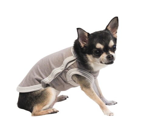 テラヘルツワンタンク（サイド開きタイプ）