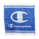  Champion(`sI) ~j^I 25~25cm VvCS u[ 5065019200