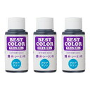 ベストカラー(Best Color) 液体染料 ベストカラー(綿麻レーヨン用) B24 アクアマリン 3個セット