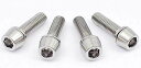 EGWORKS 高強度64チタンボルト ULTRA-TiTM ステム用M5/18mm ワッシャーつき 4本セット