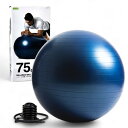 La-VIE(ラヴィ) バランスボール 75cm ネイビー 空気入れ付き 3B-4132
