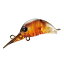 シマノ(SHIMANO) クランク カーディフ ちびとろ 25mm 1.4g ビターショコラ 02T TR-125N ルアー シマノ(SHIMANO) クランク カーディフ ちびとろ 25mm 1.4g ビターショコラ 02T TR-125N ルアー