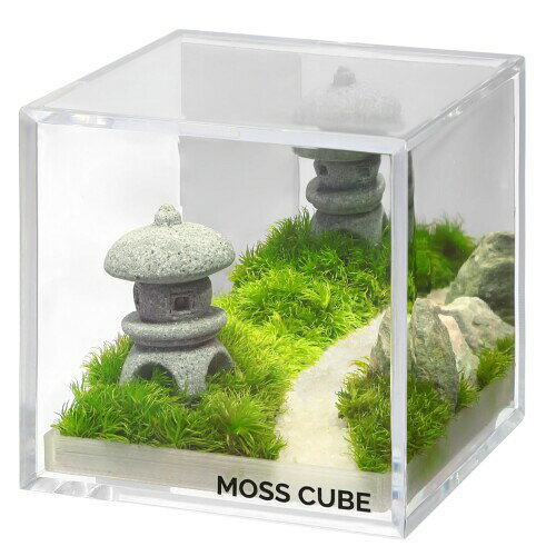 ミノル化学工業 ミノルキューブ MOSS CUBE(R)Preserved 苔庭の小径 MCP-001