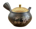 昭龍 天目釉金蓋桜柄 急須