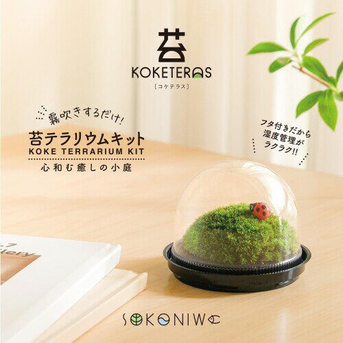 ��� �ݥƥ�ꥦ�७�å�