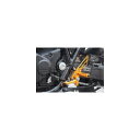 ベビーフェイス(Baby Face) パフォーマンスステップキット ゴールド CB1300SF 002-H041GD