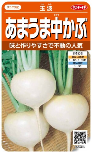 サカタのタネ 実咲野菜5402 あまうま中かぶ 玉波 00925402