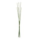 東京堂(Tokyodo) トクサバンドル #024グリーン Φ0.4×L76〜90cm 1入 FG002231-024