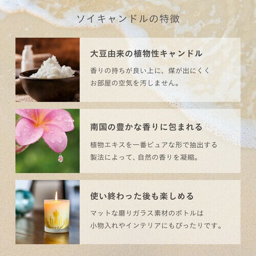 Malie Organics(マリエオーガニクス) ソイキャンドル トラベル マンゴーネクター 60g mannishboy-24498915 マニッシュボーイ サンプル画像3