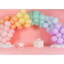 バック紙 背景紙 誕生日 装飾 バルーン 新生児 パーティー 1歳 one ケーキ 壁紙 デコレーション バナー 写真撮影 スタジオ フォト ブース ベビー (27415-27666) Style-22 ビニール150x100cm