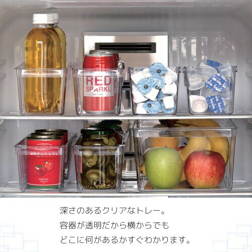 KOKUBO(コクボ) クリアトレー L 日本製 中が見やすい 透明容器 保存食品 乾物 文房...