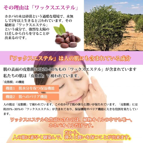 ホートク(Hotoku) PROST オーガニックゴールデン生ホホバオイル 500ml mannishboy-24919788 マニッシュボーイ サンプル画像2