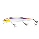 DUEL(デュエル) HARDCORE(ハードコア) ルアー ミノー HARDCORE MINNOW flat 95F 95mm Weight:10.5g R1359-MEWS-メタリックワカサギ バス釣り(4)