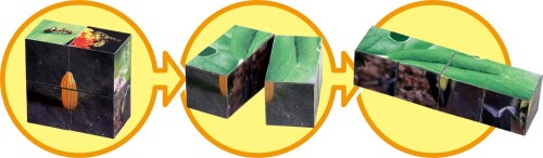 �����ƥå� ������Υ���-�� 55692 ξ����