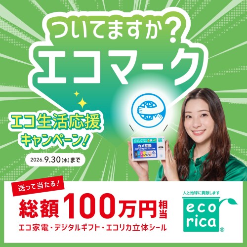 エコリカ エプソン さくらんぼ ICC70L対応リサイクルインク 大容量 シアン/染料 EP-306 315 706 775 776 E805 806 905 906 976 残量表示対応 mannishboy-24557646 マニッシュボーイ サンプル画像2