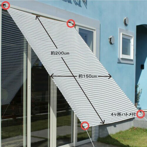 ��ƥ��ܡ����� �������� �������������� ��ƥ�� �֥롼 ���褱�������� ����