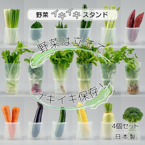イノマタ化学(Inomata-K) 野菜イキイキスタンド 4個セット 日本製 葉物 根菜 立て...