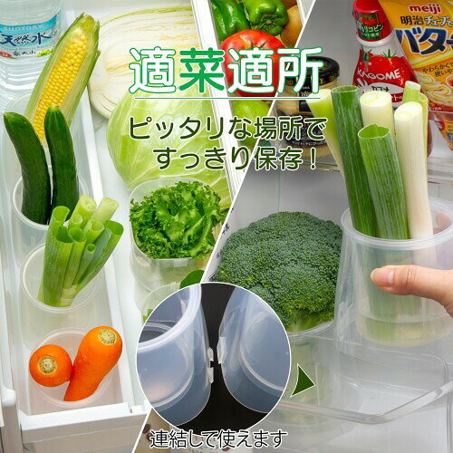 イノマタ化学(Inomata-K) 野菜イキイキスタンド 4個セット 日本製 葉物 根菜 立て...
