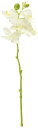 東京堂(Tokyodo) 造花 MAGIQ レイナファレノ ホワイト 花径5~5.5×L30cm FM005189-001
