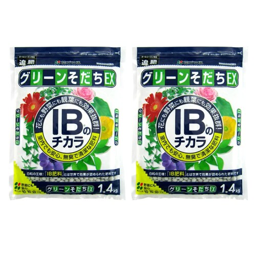 花ごころ グリーンそだちEX IBのチカラ 1.4kg×2袋 容量:1.4kg×2袋 製造:日本 肥料の種類:化成肥料 成分:チッソ(N)4: リンサン(P)5: カリ(K)2 商品紹介 室内でも使える、無臭で緩く長く効いてくれる肥料。花、野菜、観葉植物まで、ほとんどの植物に使用できます。 原材料 ■成分 チッソ、リンサン、 カリウム、マグネシウム 商品コード20081390808商品名花ごころ グリーンそだちEX IBのチカラ 1.4kg&times;2袋型番05402サイズ1.4kg&times;2袋カラーなし※他モールでも併売しているため、タイミングによって在庫切れの可能性がございます。その際は、別途ご連絡させていただきます。※他モールでも併売しているため、タイミングによって在庫切れの可能性がございます。その際は、別途ご連絡させていただきます。
