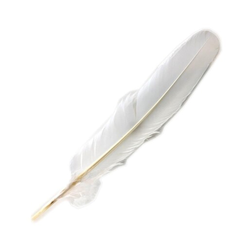 Rondino (ロンディーノ) オーボエ/ダブルリード 掃除用 大羽根 K0042250