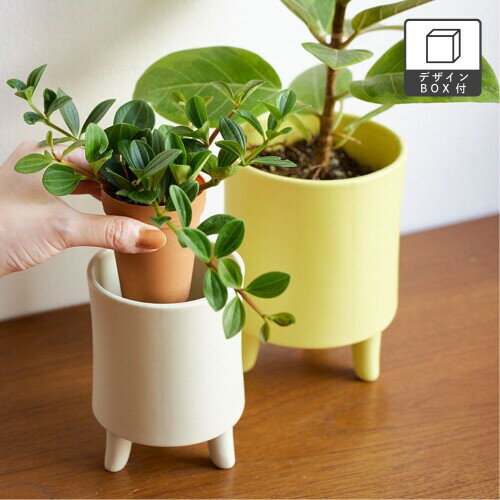 shesay ぽってりした厚みと柔らかなフォルムの磁器製プラントカバー 厚め マット ...