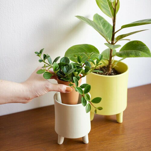 shesay ぽってりした厚みと柔らかなフォルムの磁器製プラントカバー 厚め マット ...