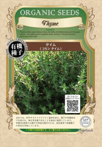 グリーンフィールドプロジェクトタイム(コモンタイム) A005