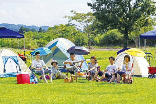 ����ץƥ󥹥��å� �������� �ѥ饽�� �֥롼�ߥ��꡼�� M-1576