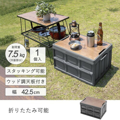 武田コーポレーション コンパクト・収納・スタッキング グレー 42.5×29×24cm 天板付きストレージボックス TBS24-42GY [2]