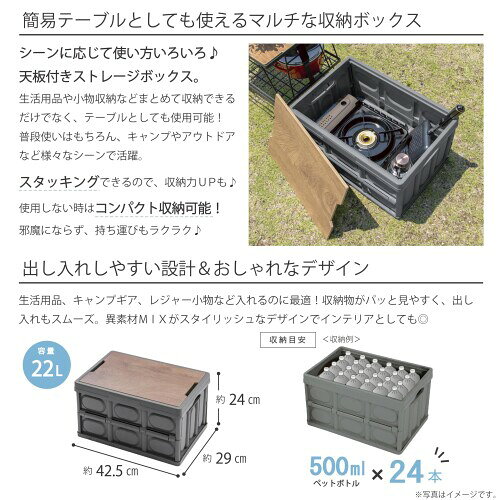 武田コーポレーション コンパクト・収納・スタッキング グレー 42.5×29×24cm 天板付きストレージボックス TBS24-42GY [3]