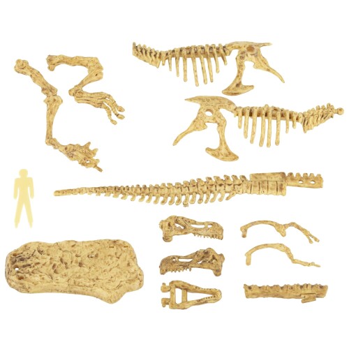 ヤマサン(Yamasan) Dino Fantasy スケルトン・キット ティラノサウルス 510286-1 全長25cm mannishboy-24913768 マニッシュボーイ サンプル画像2