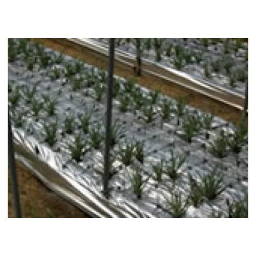 �������������ƥå� �����ѥե���� �ݥꥷ�㥤��ޥ��LL ����0.03mm ��950mm Ĺ��200m