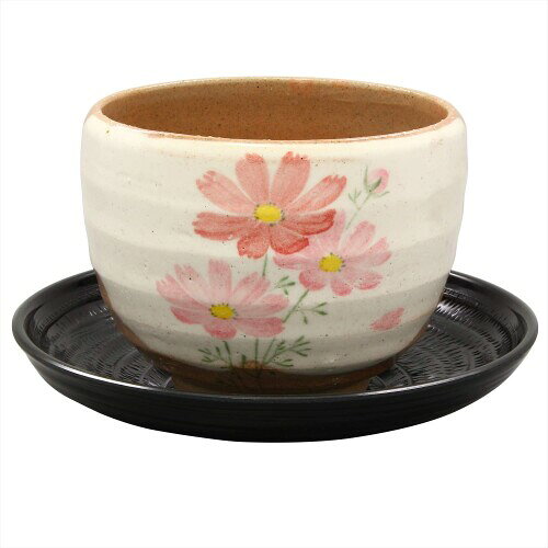 美濃焼 ゆったり碗 (茶托付) 粉引コスモス 日本製 503-07 商品サイズ:碗-約10×7.5cm、茶托-約13.7×2.5cm 商品重量:0.3kg 容量:約330ml 素材:碗-陶器,茶托-フェノール樹脂 生産国:日本 セット内容:碗,茶托×各1 美濃焼とは、岐阜県の土岐市 ■多治見市 ■瑞浪市 ■可児市に跨る地域で製作される陶磁器。 現代の美濃焼は非常にバリエーションが豊富で、伝統的な織部 ■志野 ■黄瀬戸はもちろん、様々な色彩や形のやきものの生産が盛んに行われています。 同じ釉薬でも、窯に置く位置や炎の具合で焼き上がりの色が異なります。釉薬や化粧土の具合で色の濃淡や垂れになる場合もあります。 原料となる陶土には鉄粉が含まれており、焼成後、表面に小さな黒点が表れることがあります。特に赤土や黒土に多く含まれています。 釉面に表れるヒビの技法。焼成時における素地と釉薬の収縮率の差から表れます。破損によるヒビとは異なり、問題はありません。 商品コード20076090933商品名美濃焼 ゆったり碗 (茶托付) 粉引コスモス 日本製 503-07型番586-08サイズ330mlカラー粉引コスモス※他モールでも併売しているため、タイミングによって在庫切れの可能性がございます。その際は、別途ご連絡させていただきます。※他モールでも併売しているため、タイミングによって在庫切れの可能性がございます。その際は、別途ご連絡させていただきます。
