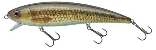 がまかつ(Gamakatsu) AVENGE MINNOW(アベンジ ミノー)170#5 ヤングカープ