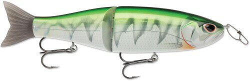 ラパラ(Rapala) ストーム アラシ グライドベイト 19cm #696 オイカワメス