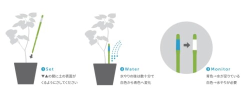 SUStee 水やりチェッカー Mサイズ グリーン 2本パック