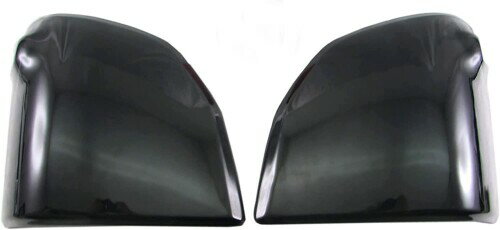 BRIGHTZ スクラムトラック DG16T スモークヘッドライトカバー DG16 DG G16 16 スクラム トラック