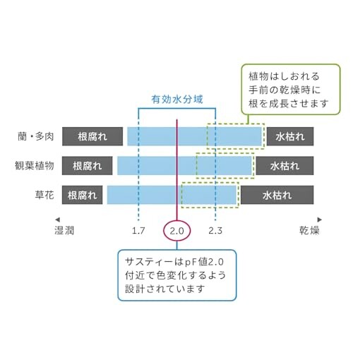 SUStee 水やりチェッカー Lサイズ ブラック 5本パック