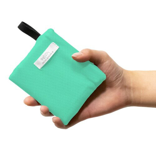 アサヒ興洋 レジャーシート コンパクト 40cm×70cm ライトグリーン 軽量 手のひらサイズ 洗濯可能 引っ掛けひも付き CPT25-06