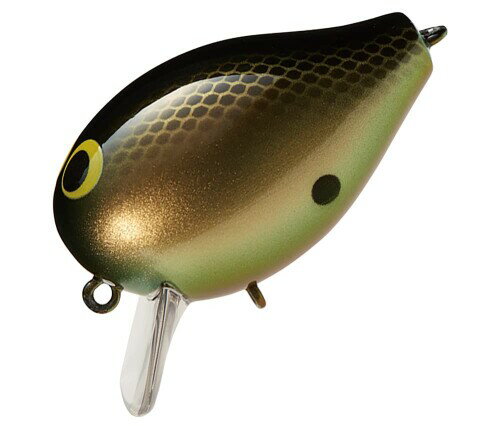 スミス COROT SR (コロット SR) #06.BG ブラックゴールド 48mm