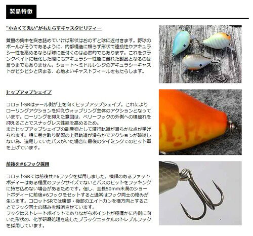 スミス COROT SR (コロット SR) #06.BG ブラックゴールド 48mm