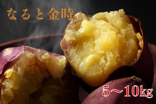 全国お取り寄せグルメ徳島食品全体No.528